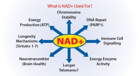 nad iv therapy