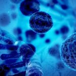 Glutathione Treatments on Maui