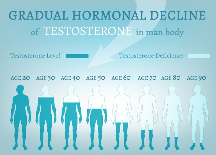 Gradual Hormonal Decline of Testosterone in a man's body
