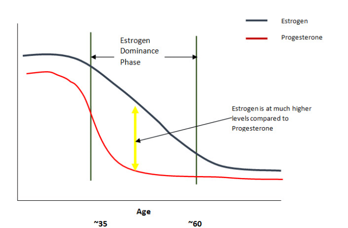 Age Related Decline of Estrogen and Progesterone