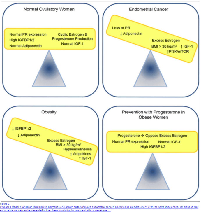 Progesterone and Weight Gain