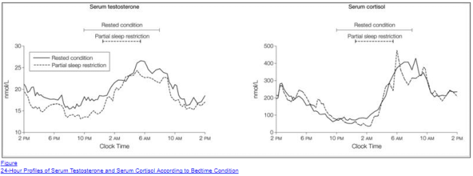 sleep stress male hormone (T)