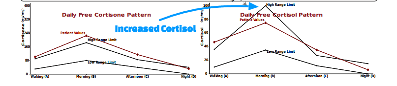 cortisol weight gain