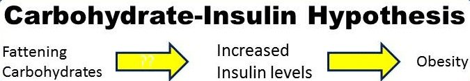insulin diet weight loss
