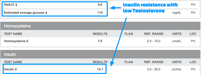 Insulin resistance testosterone weight loss