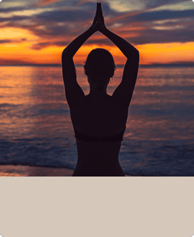 Performance & Wellness